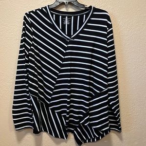 Westbound NWOT Woman Asymmetrical Striped Tunic Vneck Stretch Plus Size 2X